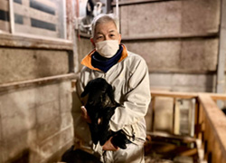 速報・仔羊が産まれました